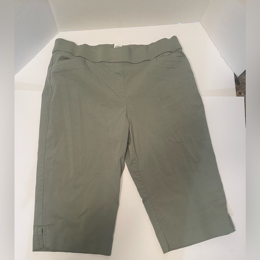Laura Scott woman’s capri style pants size Large
